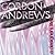 A Designer's Life by Gordon  Andrews