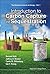 Introduction To Carbon Capture And Sequestration (The Berkeley Lectures On Energy Book 1)