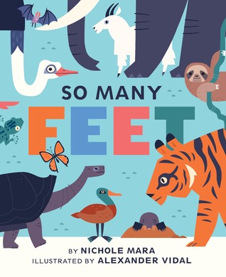 So Many Feet (Board Book)