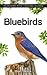 Bluebirds (Backyard Bird Feeding Guides)
