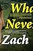 What We Never Had: A Novel