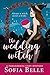 The Wedding Witch (Fairyvale Mysteries #1)
