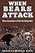 When Bears Attack: Close Encounters of the Terrifying Kind