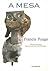 A Mesa