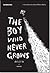 เด็กไม่รู้จักโต The Boy Who Never Grows