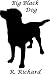 Big Black Dog