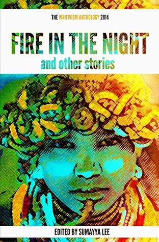 Fire In The Night and Other Stories: The 2014 Writivism Anthology