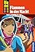 Flammen in der Nacht (Die drei !!!, #63)