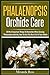 Phalaenopsis Orchids Care: ...