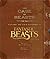 Case of Beasts: Explore the Film Wizardry of Fantastic Beast