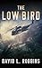 The Low Bird