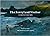 The Ferryland Visitor: A my...