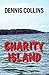 Charity Island by Dennis Collins