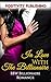 In Love with the Billionaire by Positivity Publishing