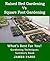 Raised Bed Gardening V's Square Foot Gardening: What's Best For You! (No Dig Gardening Techniques)