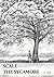 Scale the Sycamore