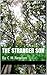 The Stranger Son: By C M Newton