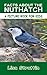Facts About The Nuthatch (A Picture Book For Kids 122)