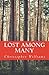 Lost Among Many: a novella