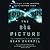 The Big Picture: On the Origins of Life, Meaning, and the Universe Itself