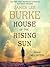 House of the Rising Sun (Hackberry Holland, #4)