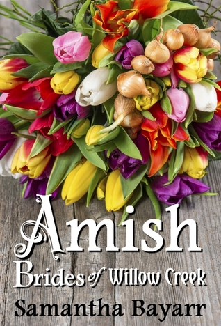 Sibling Rivalry / Second Chances / Sweet Nothings / Snowflake Bride (Amish Brides of Willow Creek #1-4)