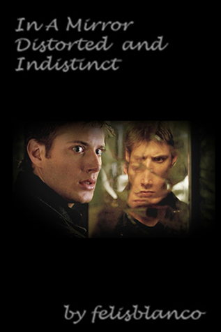 In a Mirror Distorted and Indistinct (Mirror, #1)