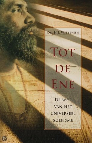 Tot de Ene; De weg van het universeel soefisme (Paperback)