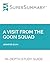 Study Guide: A Visit from the Goon Squad by Jennifer Egan (SuperSummary)