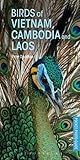 Birds of Vietnam, Cambodia and Laos (Pocket Photo Guides)