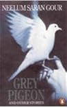 Grey pigeon and o...