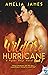 Wildfire Hurricane (A Ryder...