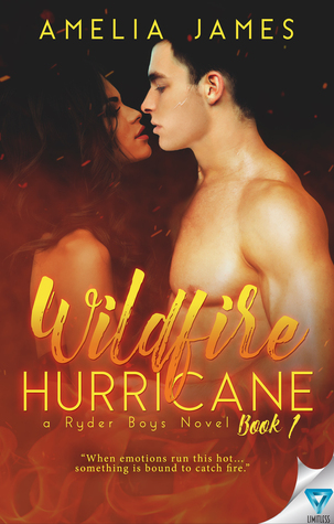 Wildfire Hurricane (A Ryder Boys Novel)