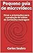 Pequeno guia de microvídeos: Dicas e orientações para a produção de vídeos de curtíssima metragem (Portuguese Edition)