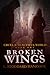 Broken Wings (Cruel and Beautiful World, #1)