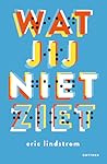 Wat jij niet ziet