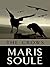 The Crows (P.J. Benson Mysteries, #1)