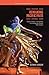Remaking Pacific Pasts: History, Memory, and Identity in Contemporary Theater from Oceania (Pacific Islands Monograph Series)