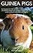 Guinea Pigs by Michael Miller
