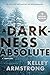 A Darkness Absolute (Casey Duncan, #2)