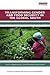 Transforming Gender and Food Security in the Global South (Routledge Studies in Food, Society and the Environment)