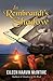 In Rembrandt's Shadow by Eileen Haavik McIntire