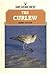 The Curlew