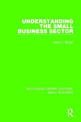 Understanding The Small Business Sector (Routledge Library Editions: Small Business)