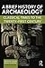 A Brief History of Archaeology: Classical Times to the Twenty-First Century