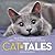 Cat Tales: True Stories of Kindness and Companionship With Kitties