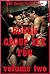 Rough Group Sex Fun Volume Two: Five Explicit Rough Sex Erotica Stories