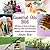 Essential Oils 2016 by Jessica Grey