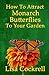How To Attract Monarch Butterflies To Your Garden by Lisa Cockrell