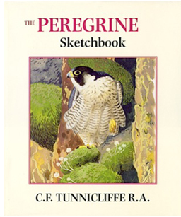 The Peregrine Sketchbook (Hardcover)